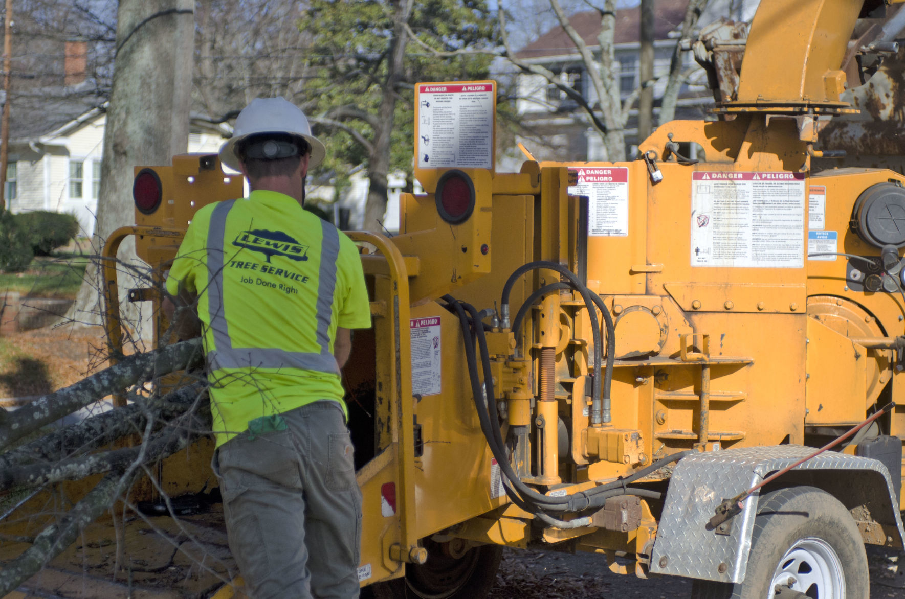 Tree removal